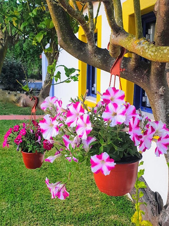 Villa Sondela Self Catering São Martinho do Porto Exterior foto